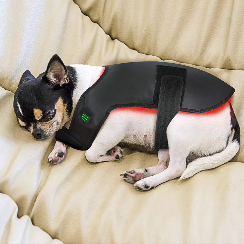 Red Light Therapy Pet Jacket
