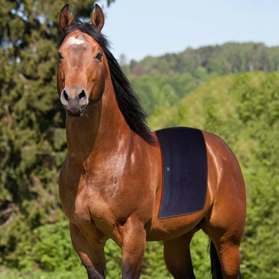 RLT Horse Back pad