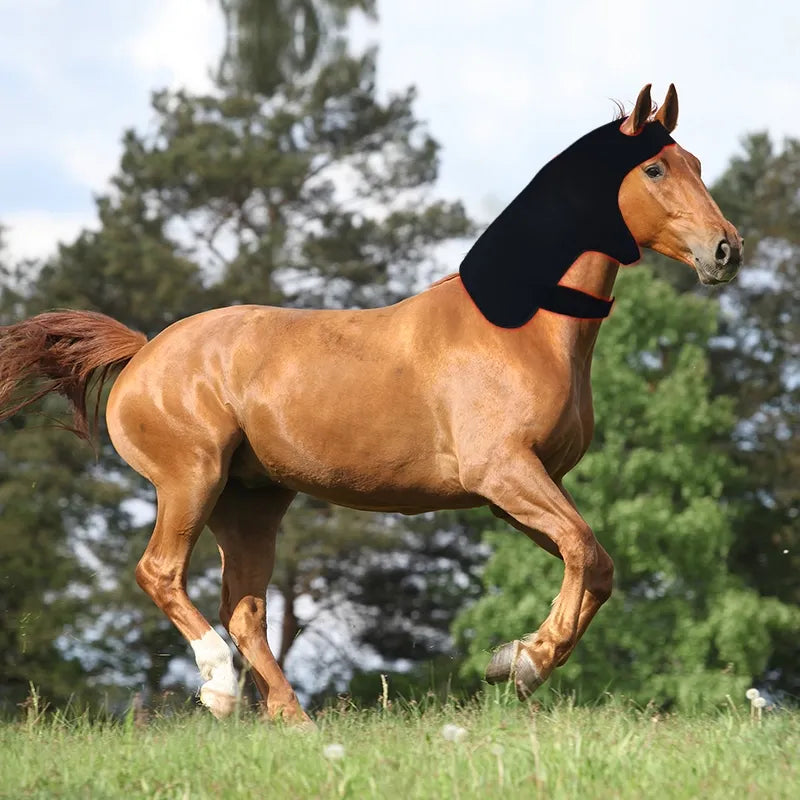 Red Light Therapy Full Head Hood(Horse)