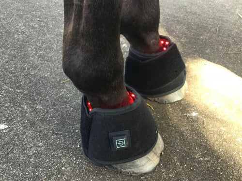 Red Light Therapy Hoof Wrap
