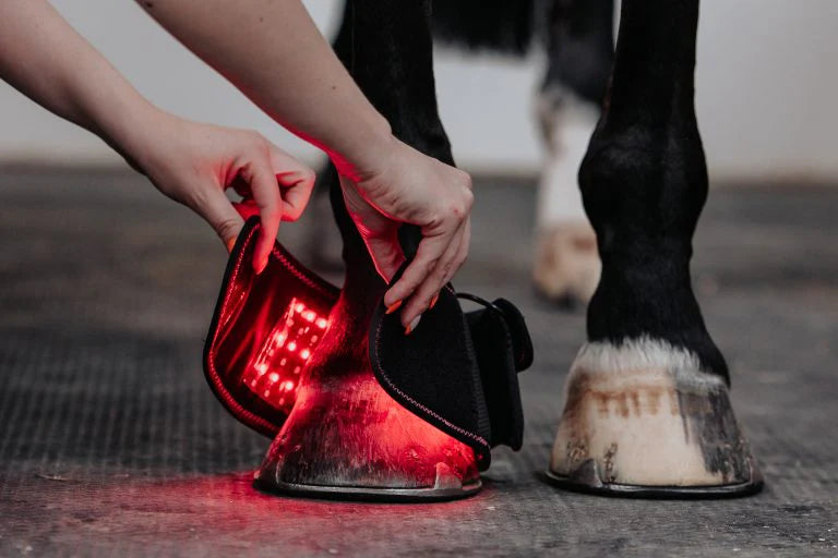 Red Light Therapy Hoof Wrap