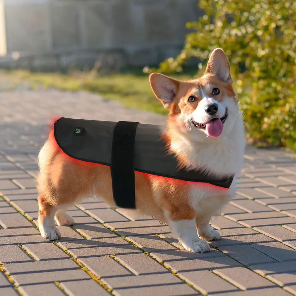 Red Light Therapy Pet Jacket