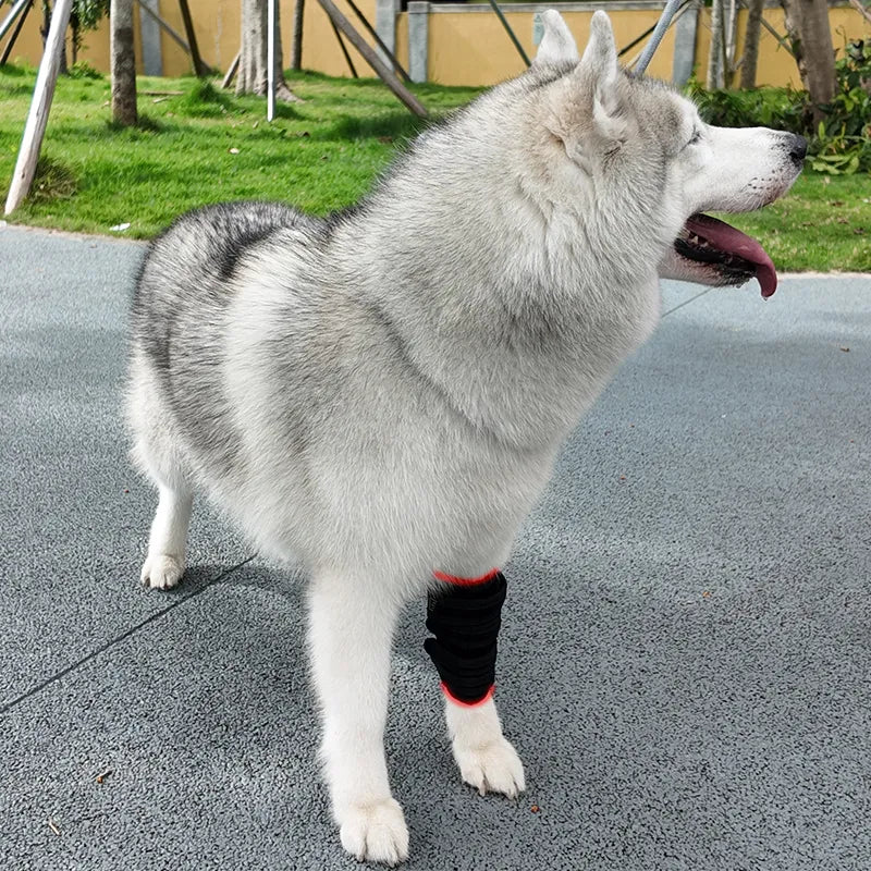 Red Light Therapy Leg Wrap (Dogs and cats)