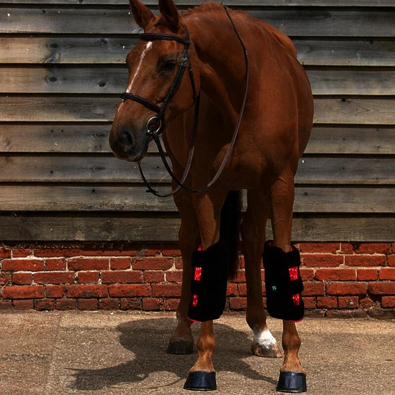 Red Light Therapy Knee Pads (Horse)