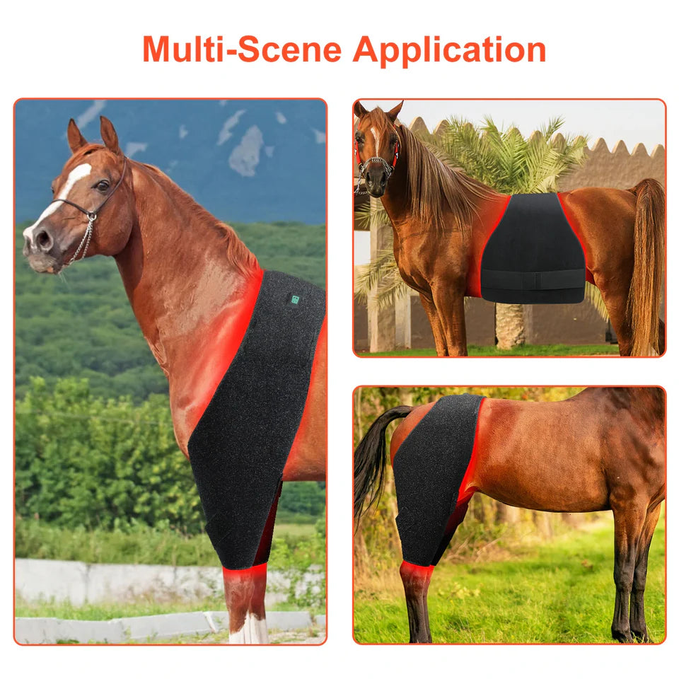 Red Light Therapy Belly Pad (Horse)