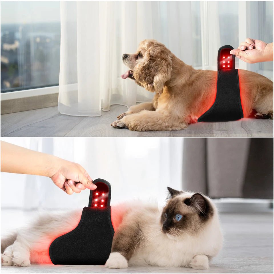 Red Light Therapy Belt (For Dogs and Cats)